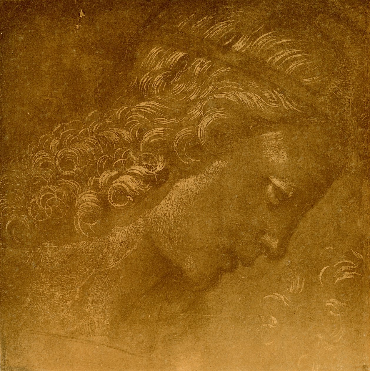 Studie van een engelenhoofd door Raffaellino del Garbo