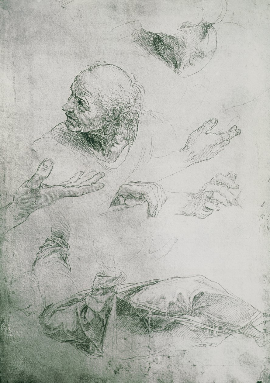 Studies voor de figuur van Bramante (1444-1515) door Raffaello Sanzio Raphael