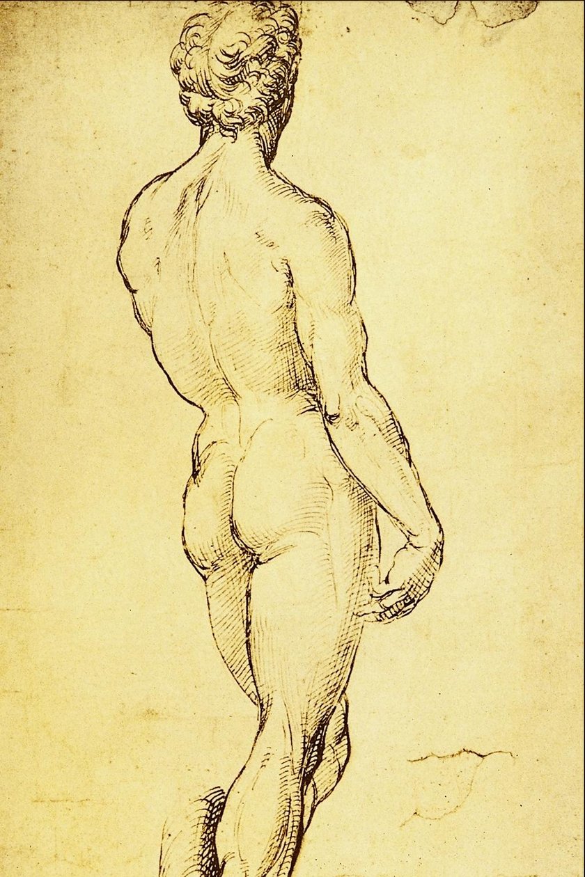 Studie van een naakt door Raffaello Sanzio Raphael