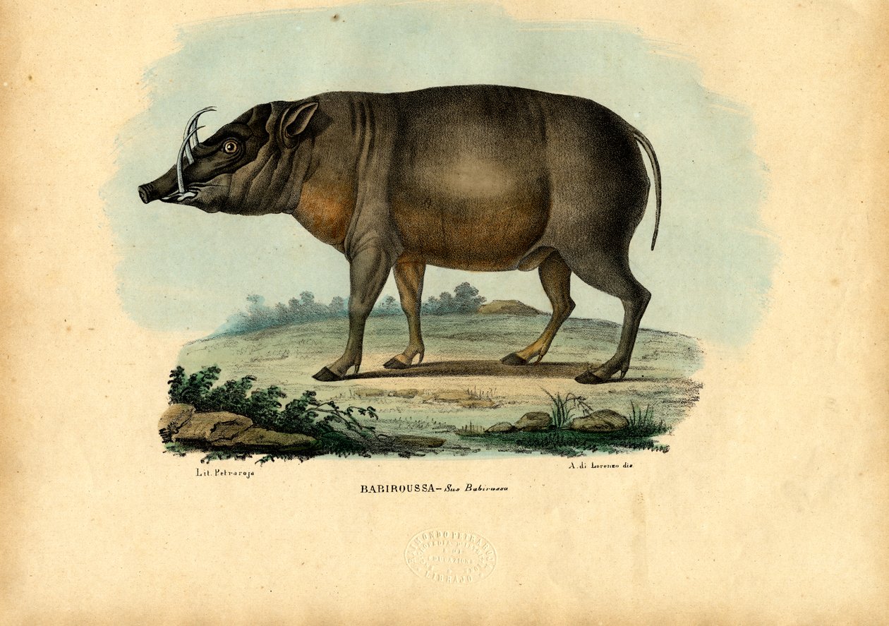 Babiroessa, 1863-79 door Raimundo Petraroja