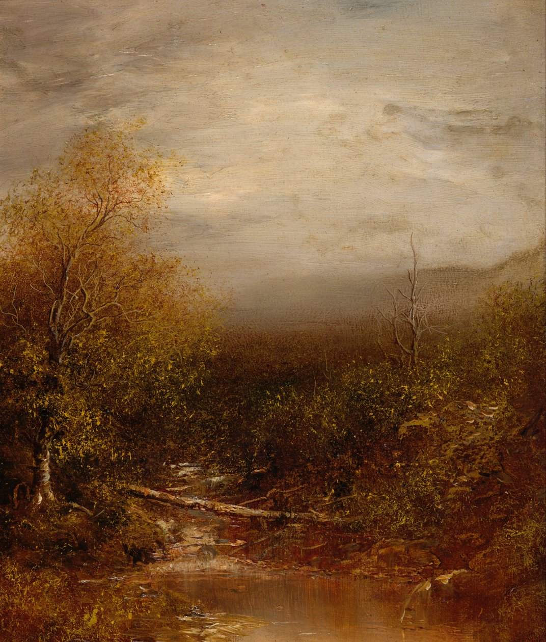 Zwembad in de Adirondacks door Ralph Albert Blakelock