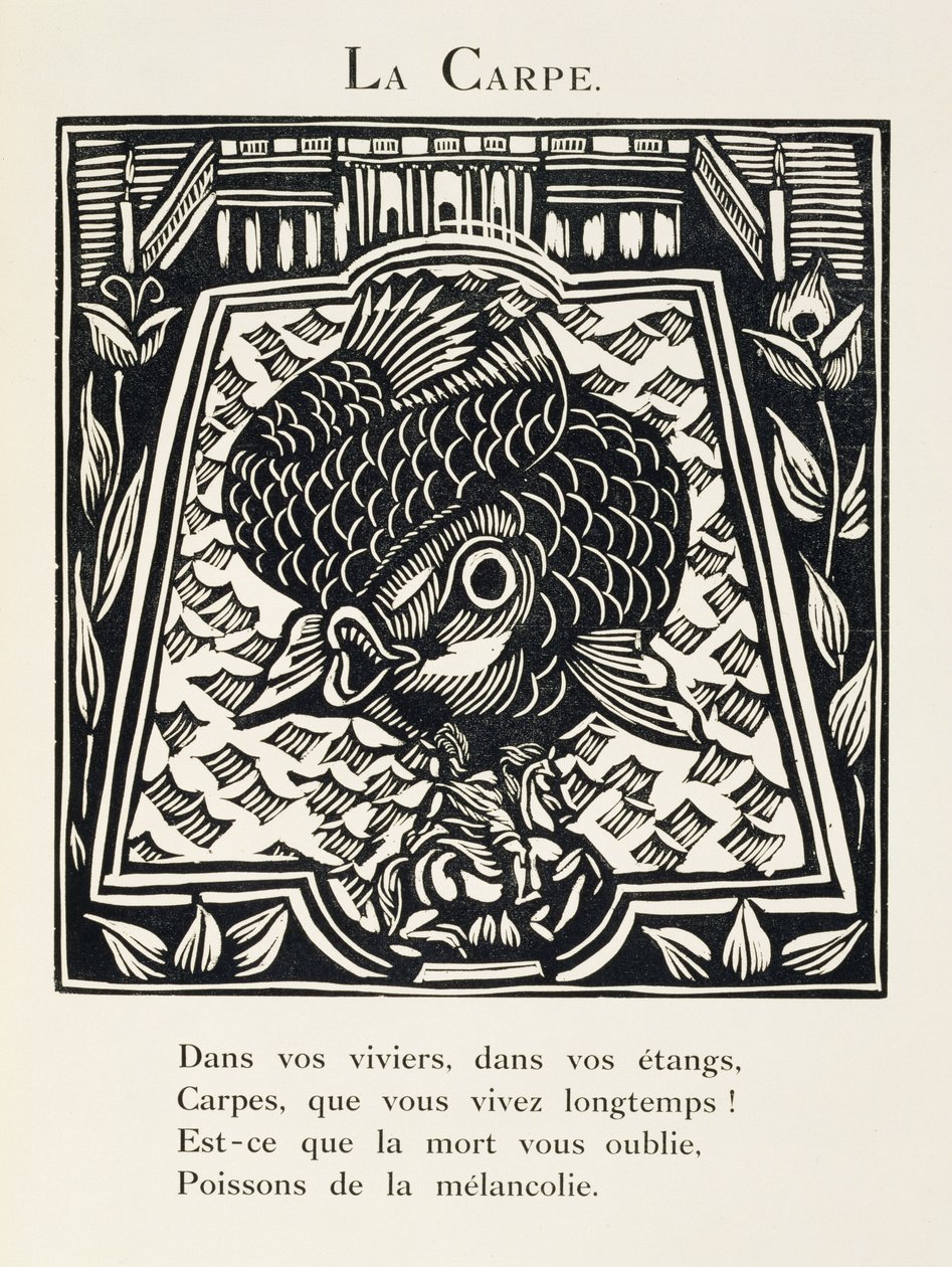 De karper, illustratie uit 