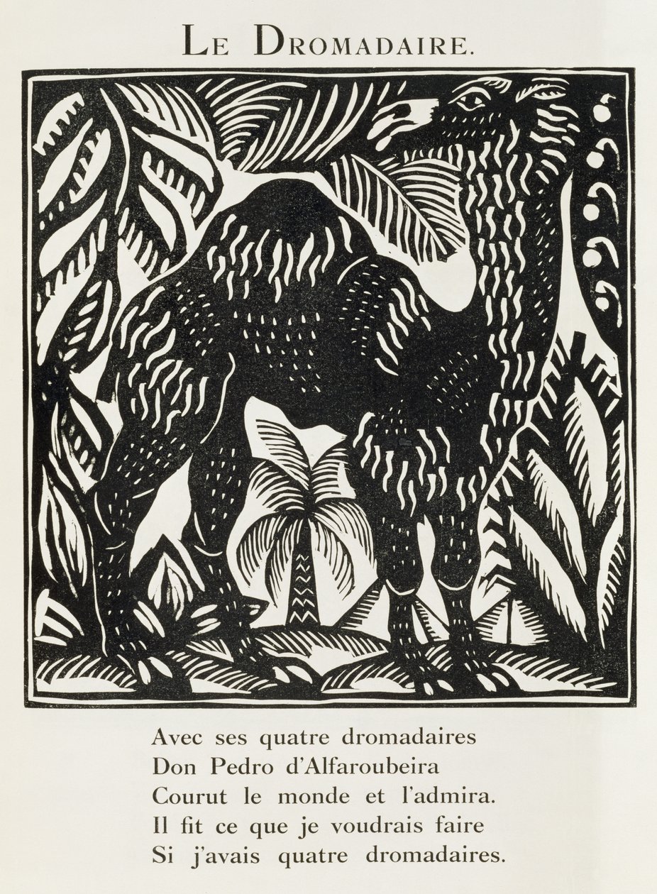 De Dromedaris, illustratie uit 