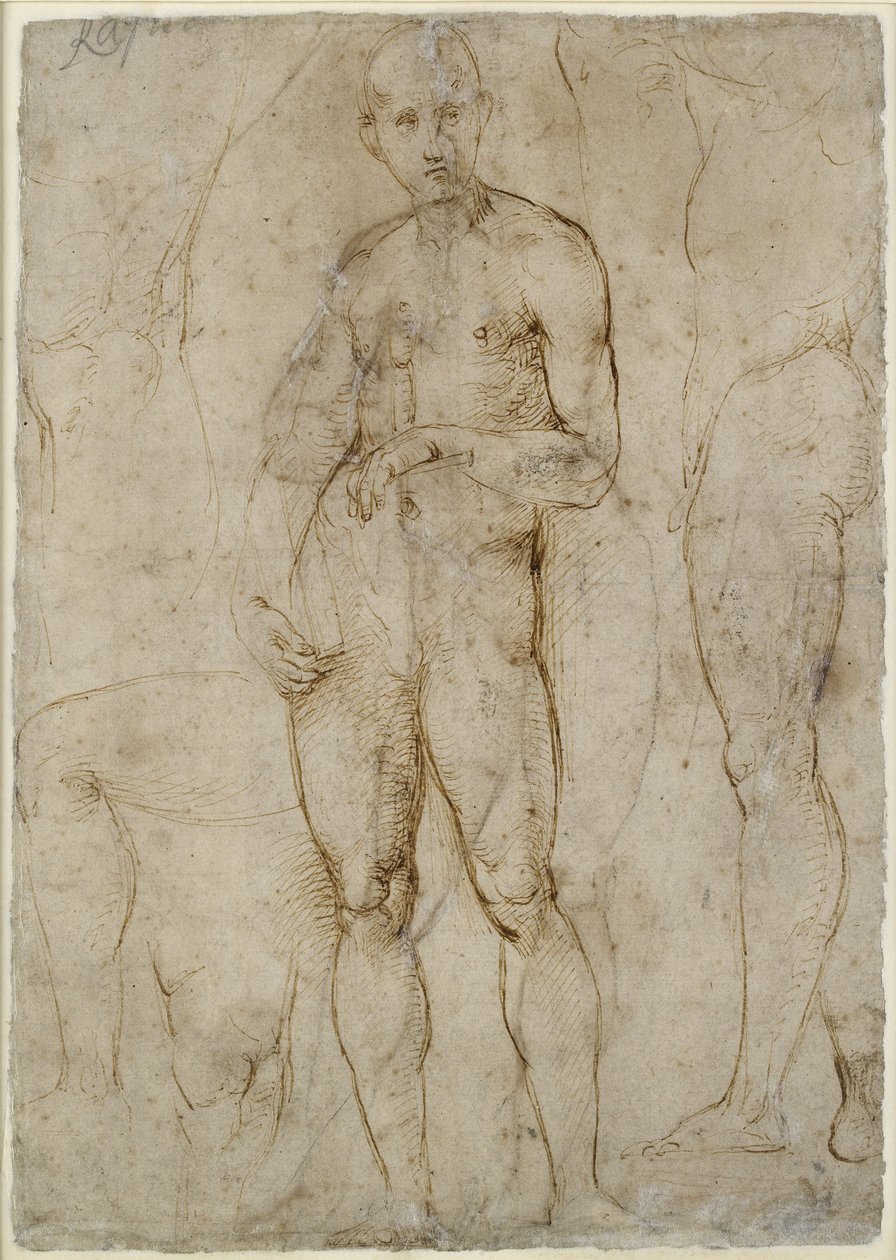 Verso: Naaktstudie voor een Sint Paulus, WA1846.163 door Raffaello Sanzio Raphael
