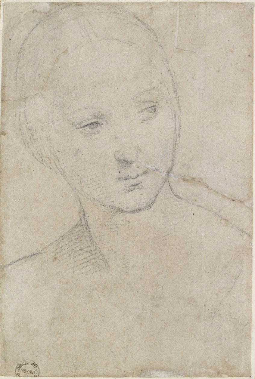 Recto: Studie van het Hoofd van een jonge Vrouw, WA1846.157 door Raffaello Sanzio Raphael