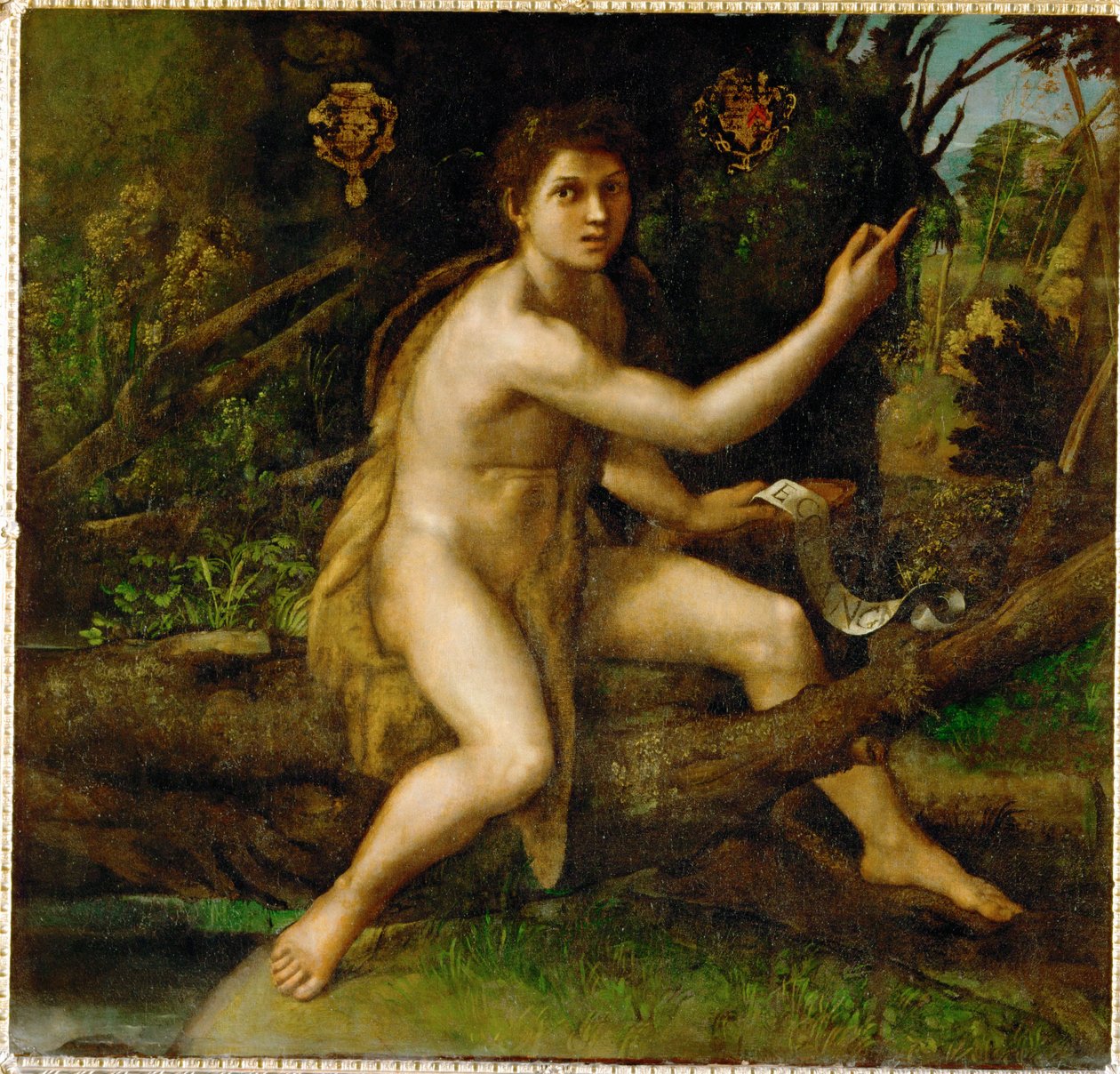 Johannes de Doper in de woestijn, met de boom die ... door Raphael (1483 1520)