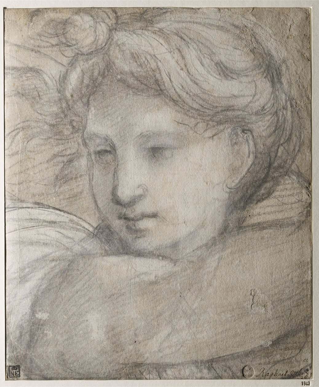 Raffaello Sanzio - Hoofd van een Engel door Raphael (1483-1520), ca. 1520 - Zwart en wit krijt op papier, 30,8x25,4 - Szépművészeti Múzeum, Boedapest door Raphael