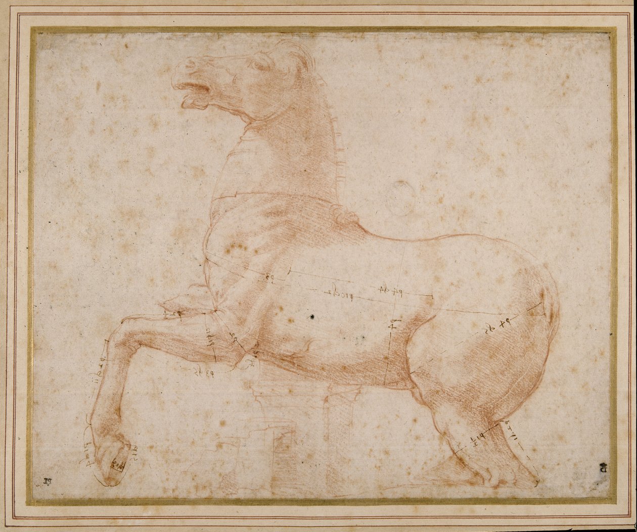 Studie van een paard door Raphael