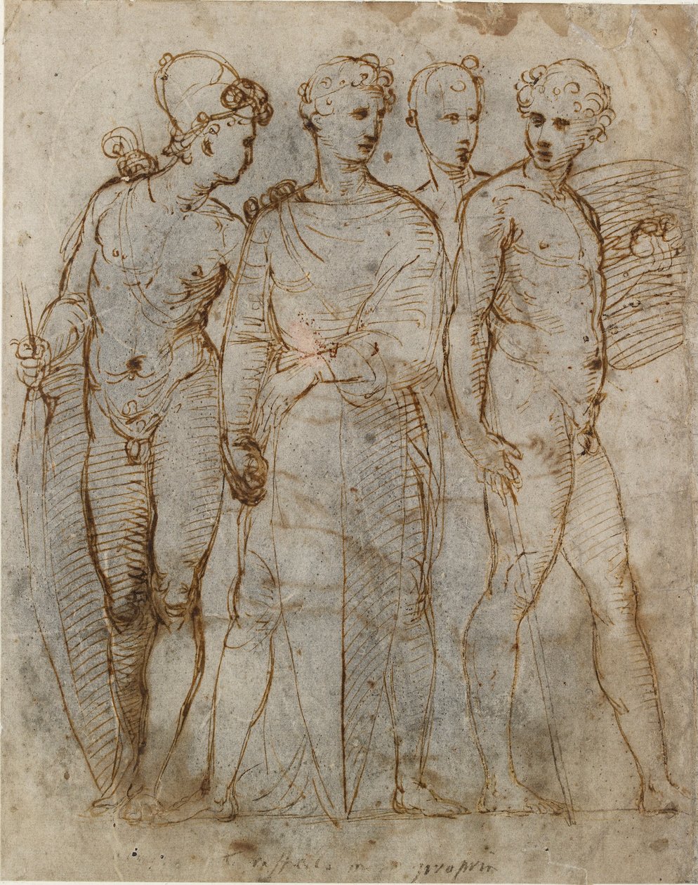 Groep Krijgers Donatello