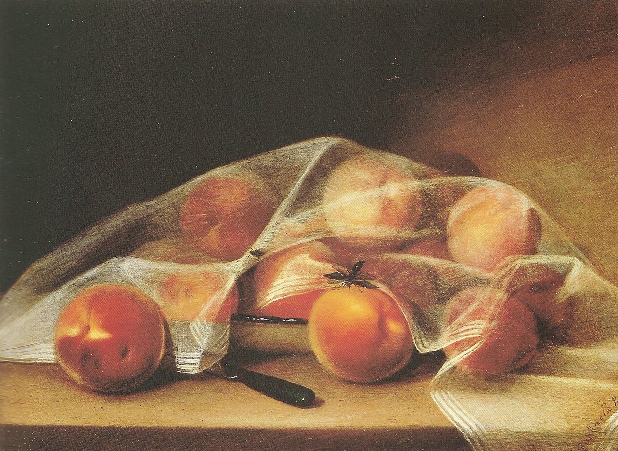 Fruitstukjes met perziken bedekt met een zakdoek-raphaelle peale door Raphaelle Peale