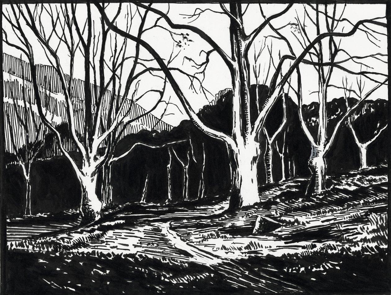  door Raymond Bonnefon