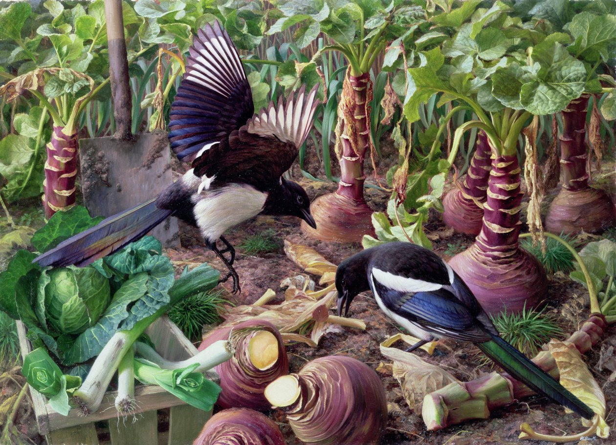Eksters in de moestuin (bord) door Raymond Booth