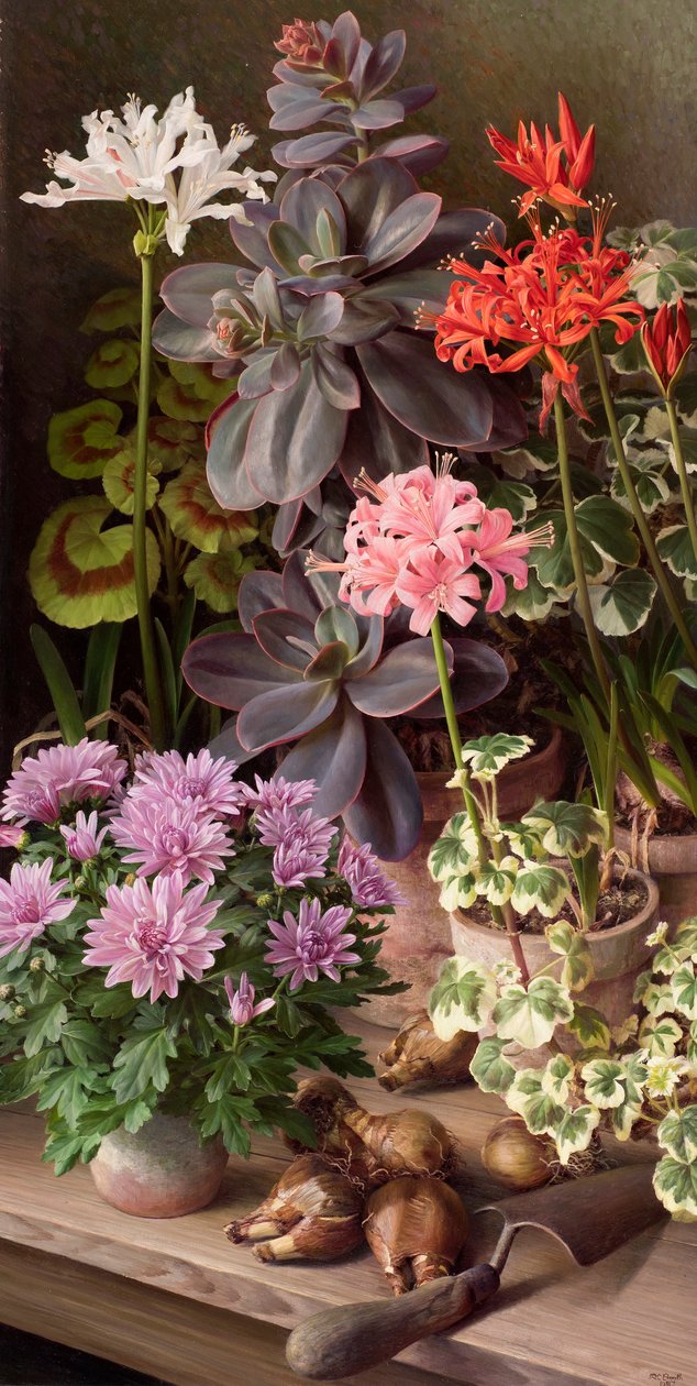 Oktober bloemen door Raymond Booth