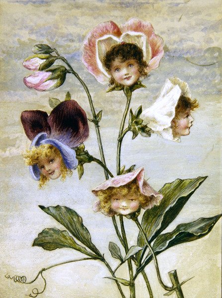 Geranium & Lathyrus - Bloemenkinderen - een paar door Rebecca Coleman