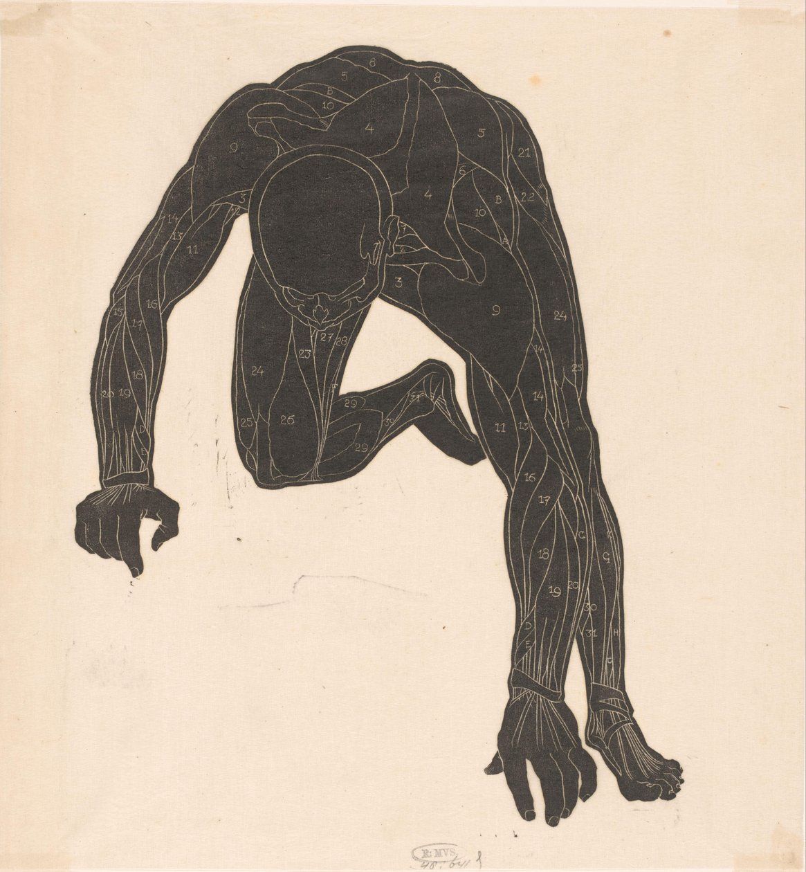 Anatomische studie van de hals-, arm- en beenspieren van een man in silhouet door Reijer Stolk