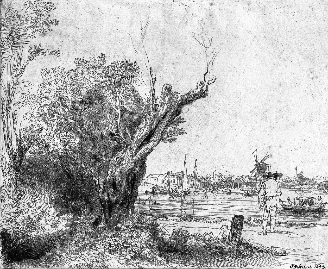 Uitzicht op Omval, nabij Amsterdam, 1645 door Rembrandt van Rijn