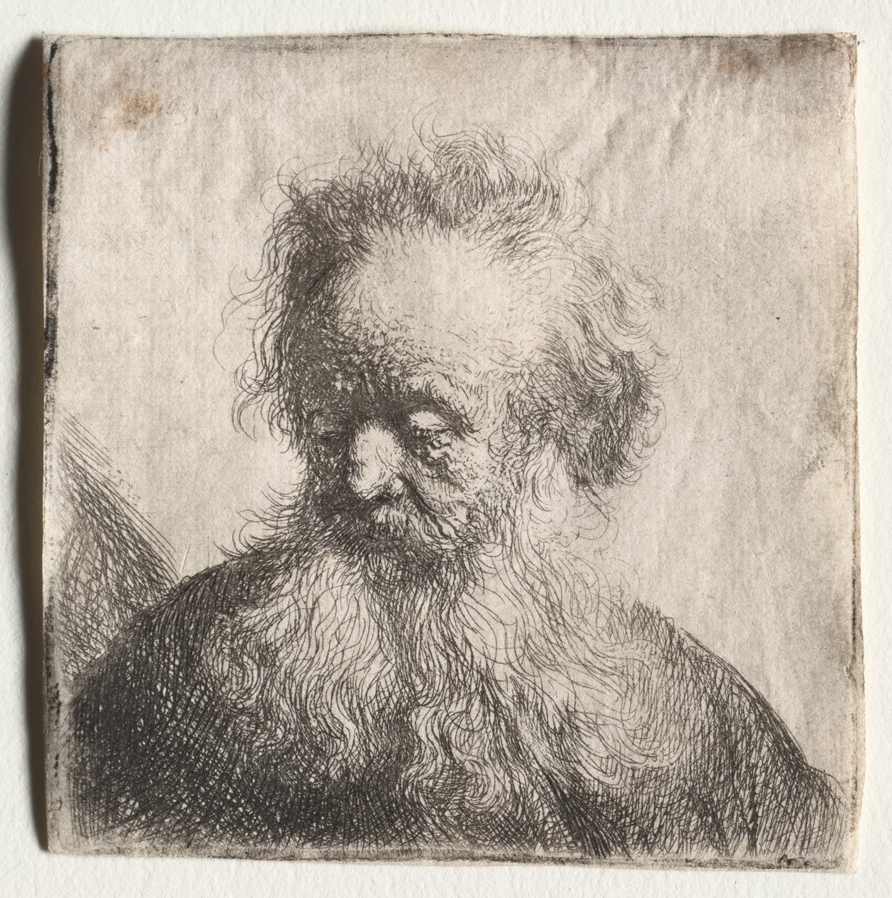 Oude man met golvende baard: Buste door Rembrandt Harmensz. van Rijn
