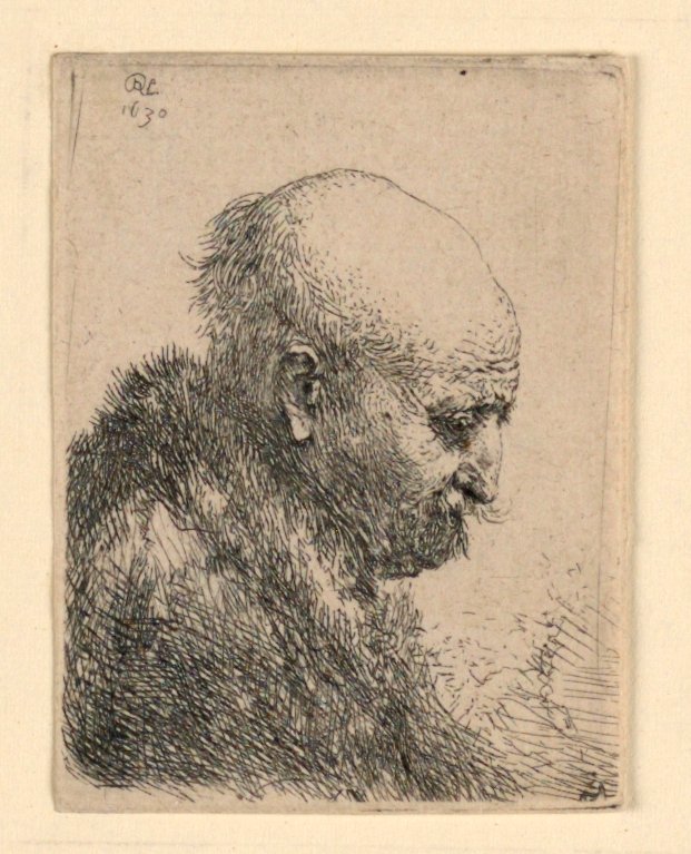 Kaal hoofd in profiel rechts: Kleine buste; De vader van de kunstenaar? door Rembrandt van Rijn