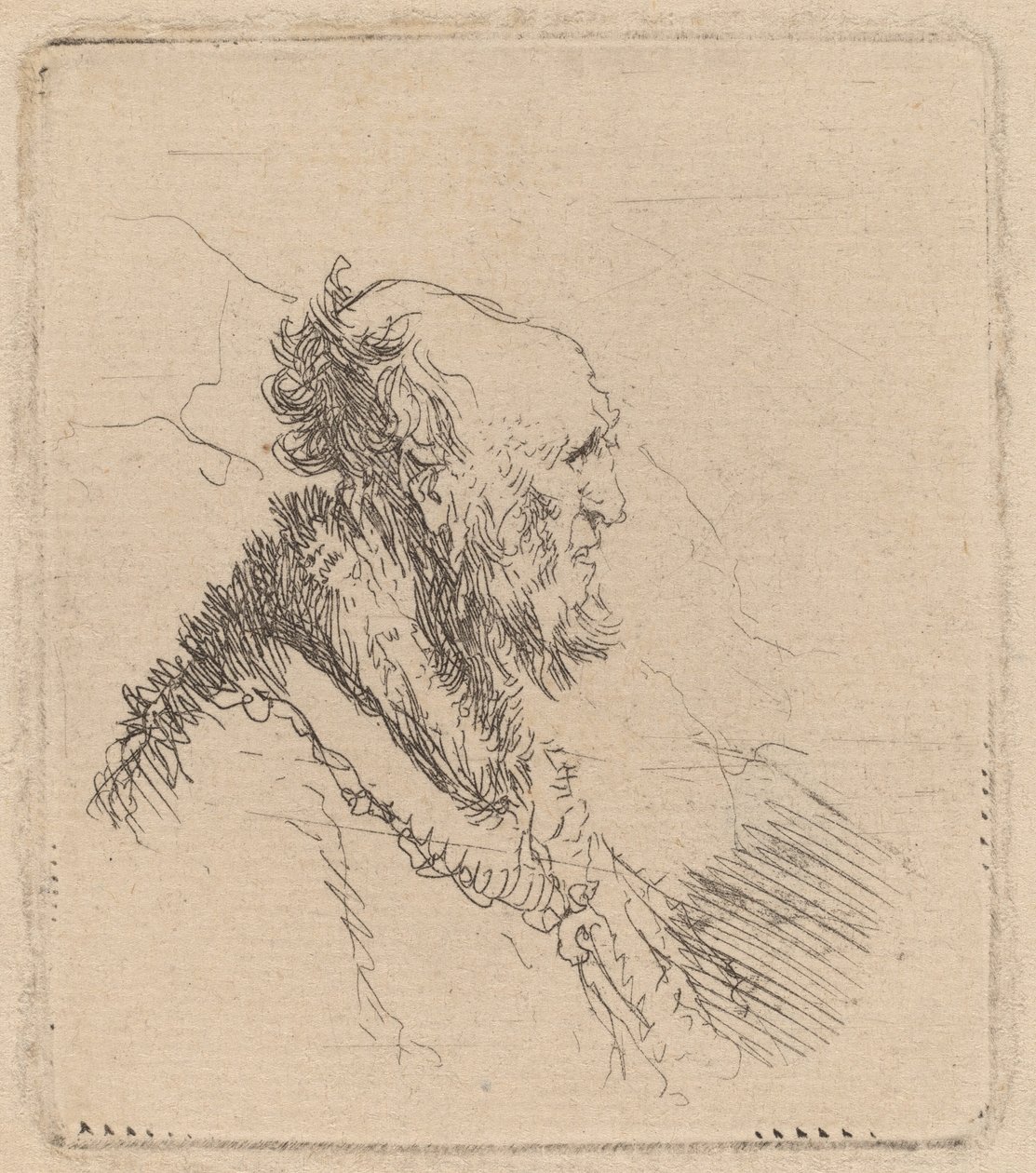 Kale Oude Man met een Korte Baard in Profiel door Rembrandt van Rijn