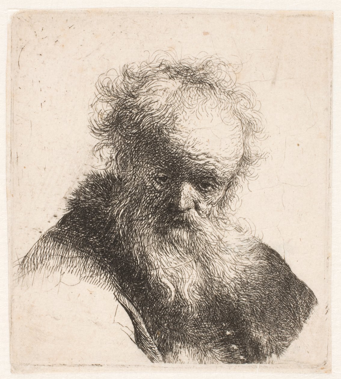 Buste van een oude man met een golvende baard en een witte mouw door Rembrandt van Rijn