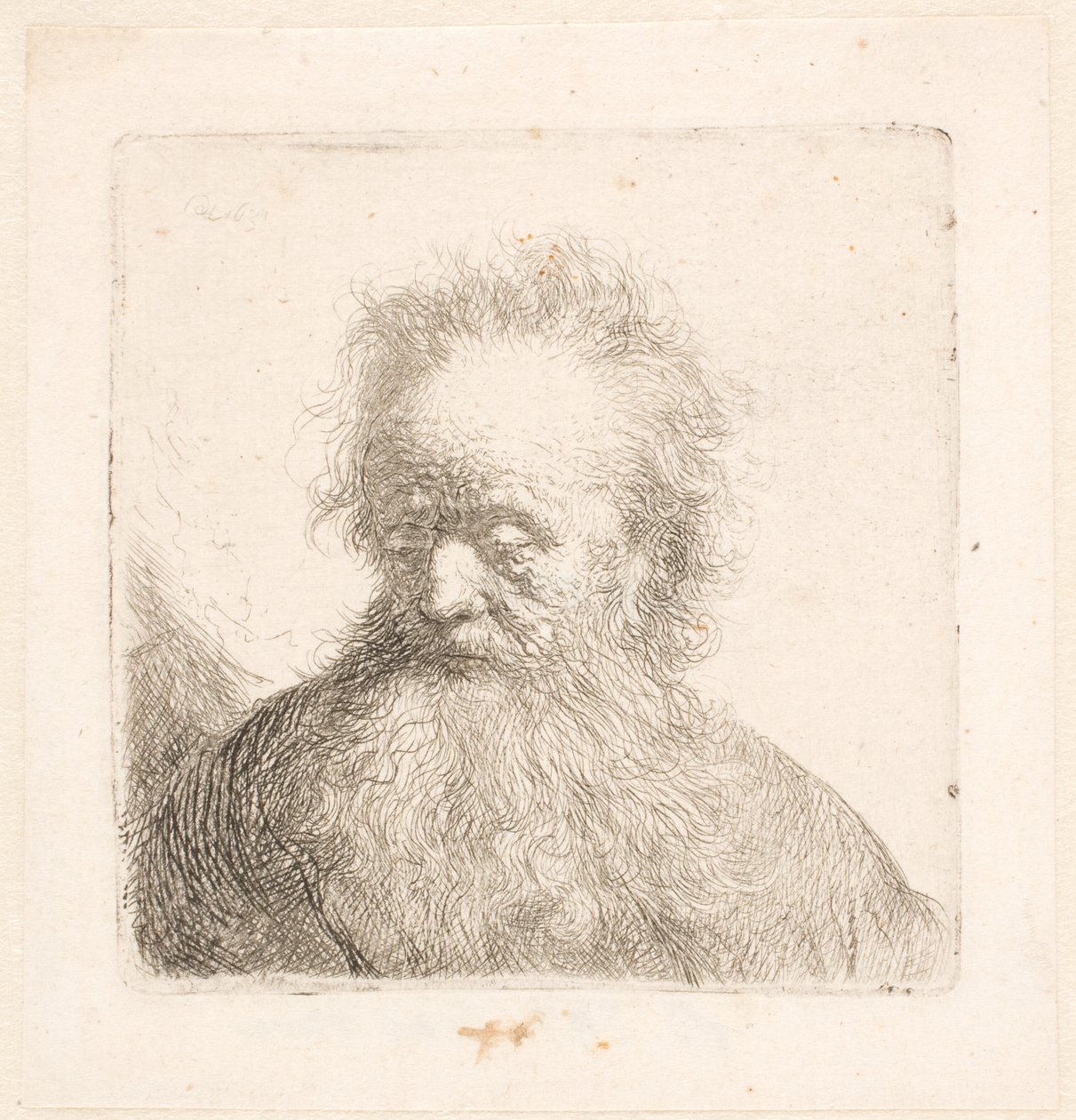 Buste van een oude man met een golvende baard: het hoofd staat bijna rechtop; de ogen zijn neergeslagen; de blik is lichtjes naar links gericht door Rembrandt van Rijn