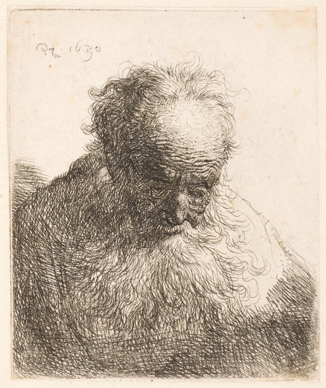 Buste van een oude man met een golvende baard: het hoofd naar voren gebogen; de linkerschouder is niet gearceerd door Rembrandt van Rijn