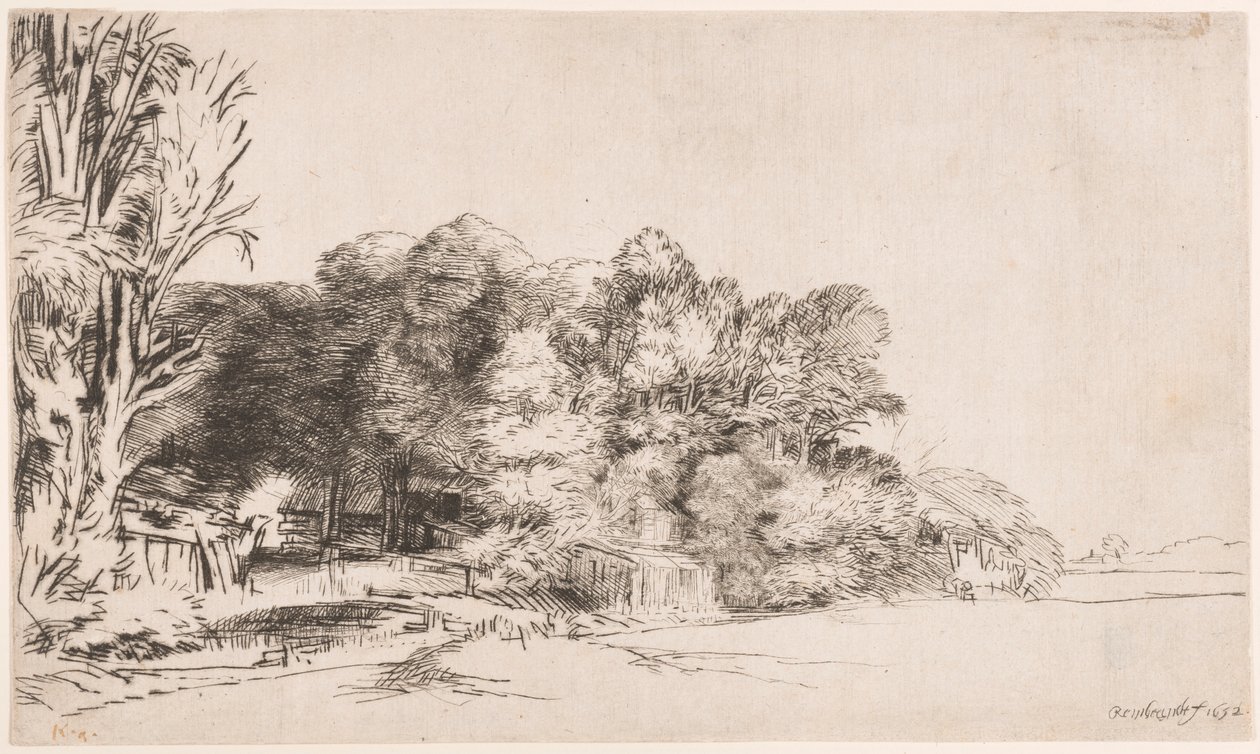 Boomgroep met een doorkijk door Rembrandt van Rijn