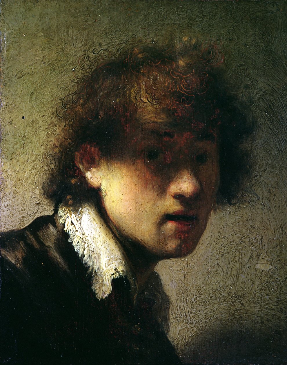 Hoofd van een jonge man of zelfportret, 1629 door Rembrandt van Rijn