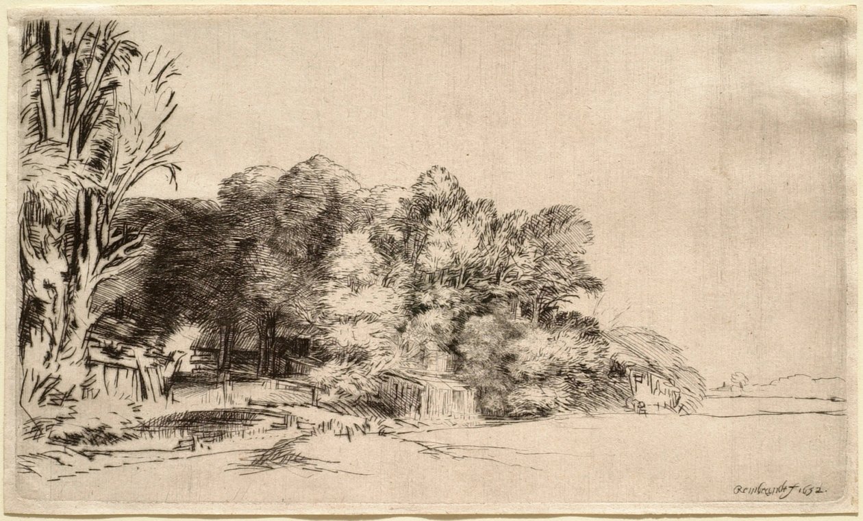 Landschap met een groep bomen door Rembrandt van Rijn