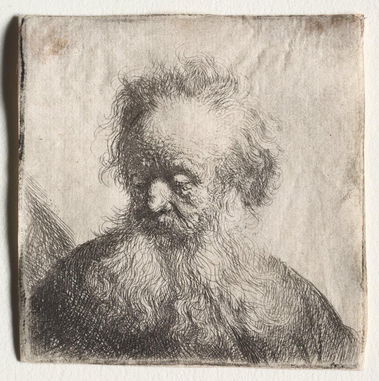 Oude Man met een Stromende Baard: Buste door Rembrandt van Rijn