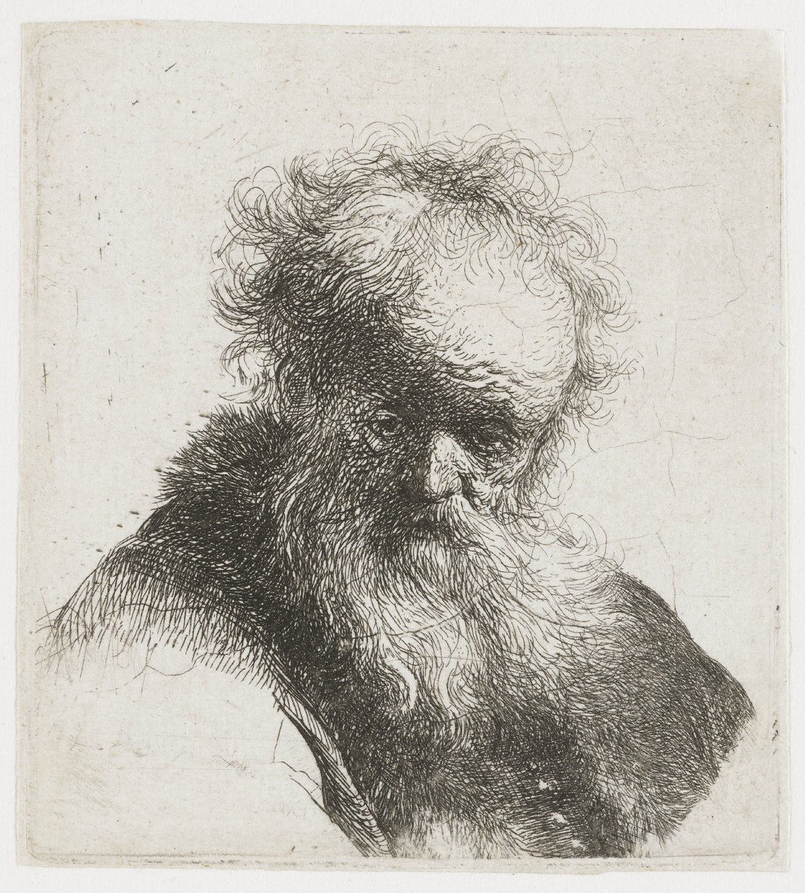 Oude man met lange baard, met witte mouw door Rembrandt van Rijn