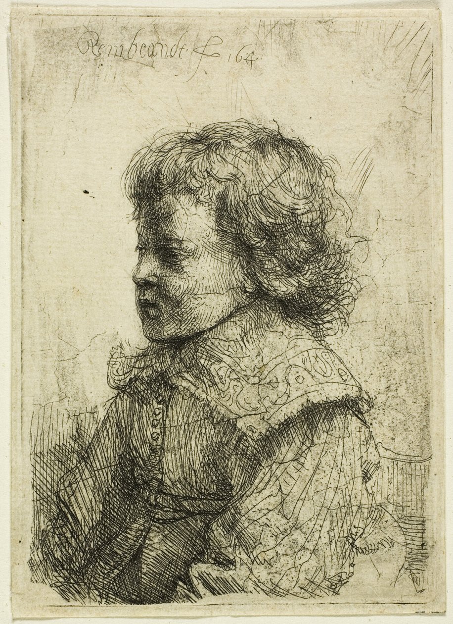 Portret van een jongen door Rembrandt van Rijn