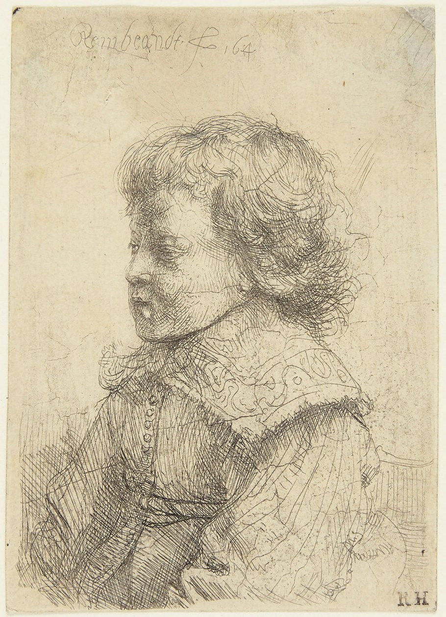Portret van een jongen door Rembrandt van Rijn