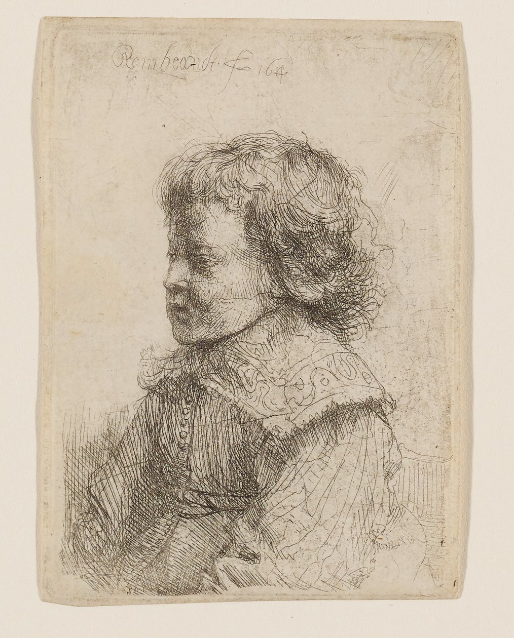 Portret van een jongen in profiel door Rembrandt van Rijn