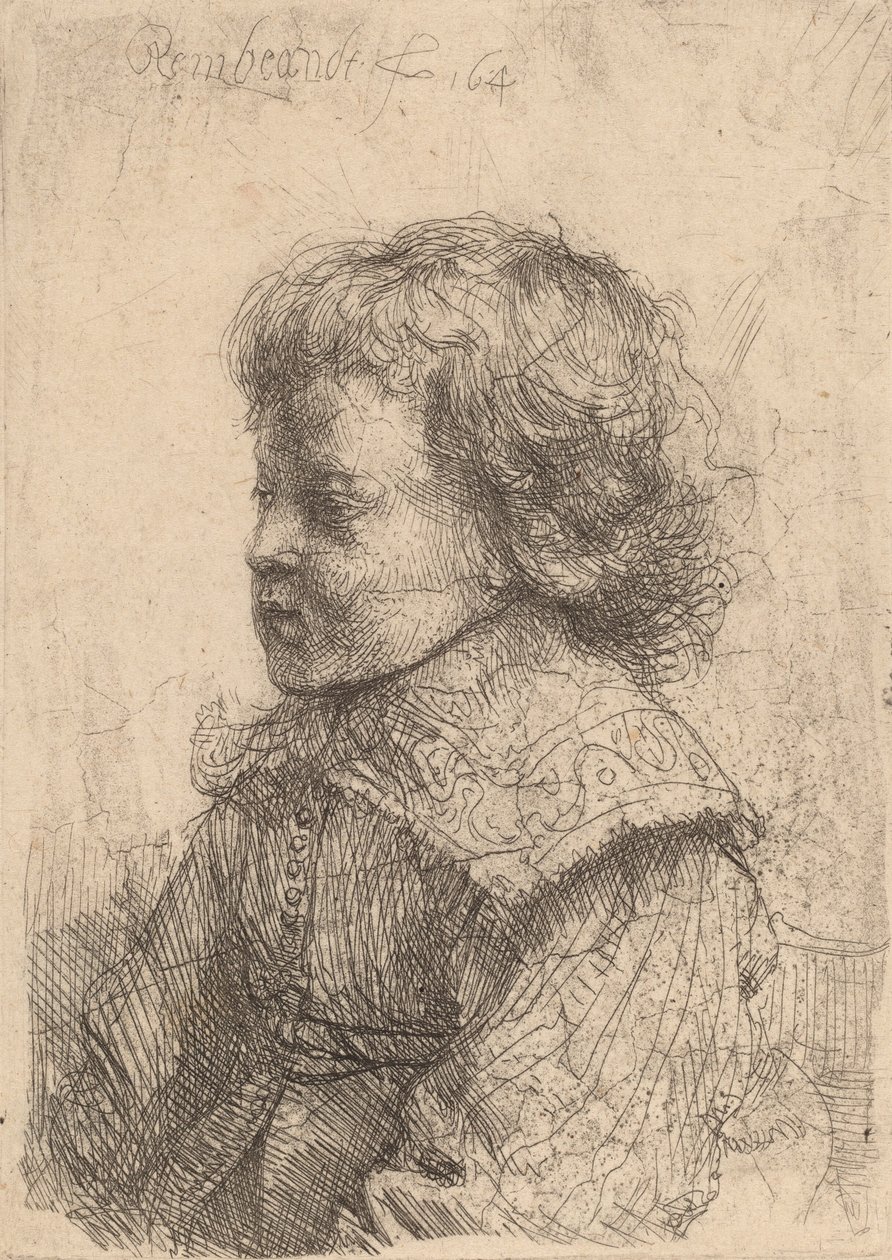 Portret van een jongen in profiel, 1641 door Rembrandt van Rijn