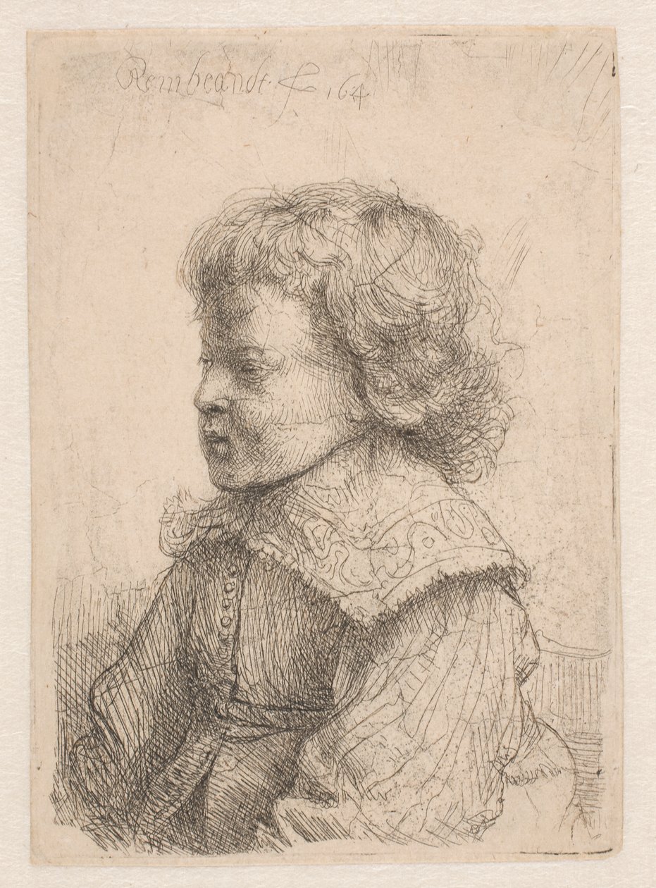Portret van een jongen, in profiel door Rembrandt van Rijn