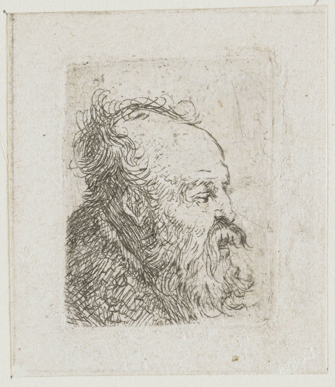 Blad met schetsen van mannenhoofden: oude, bebaarde man, bijna in profiel naar rechts: mond half open door Rembrandt van Rijn