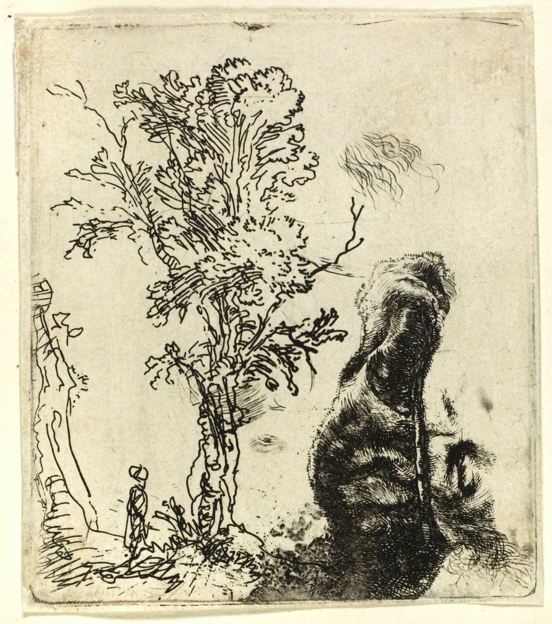 Blad met Twee Studies: Een Boom, en het Bovenste Deel van het Hoofd van de Kunstenaar met een Fluwelen Muts door Rembrandt van Rijn