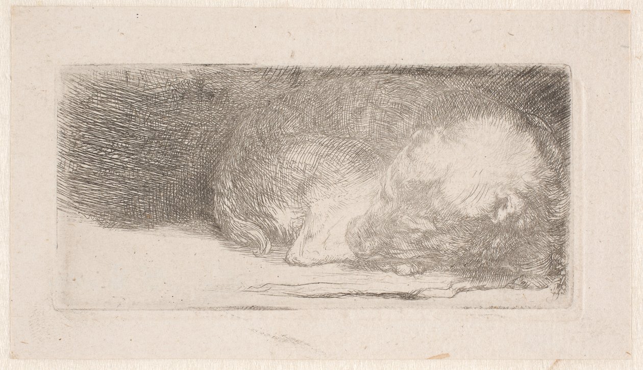 Slapende puppy door Rembrandt van Rijn