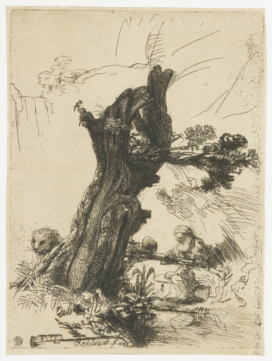 Sint Hiëronymus naast een geknotte wilg door Rembrandt van Rijn