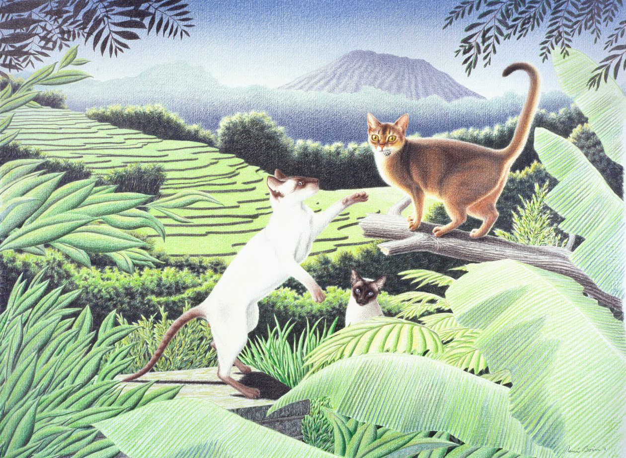 Bali door Rene Boin