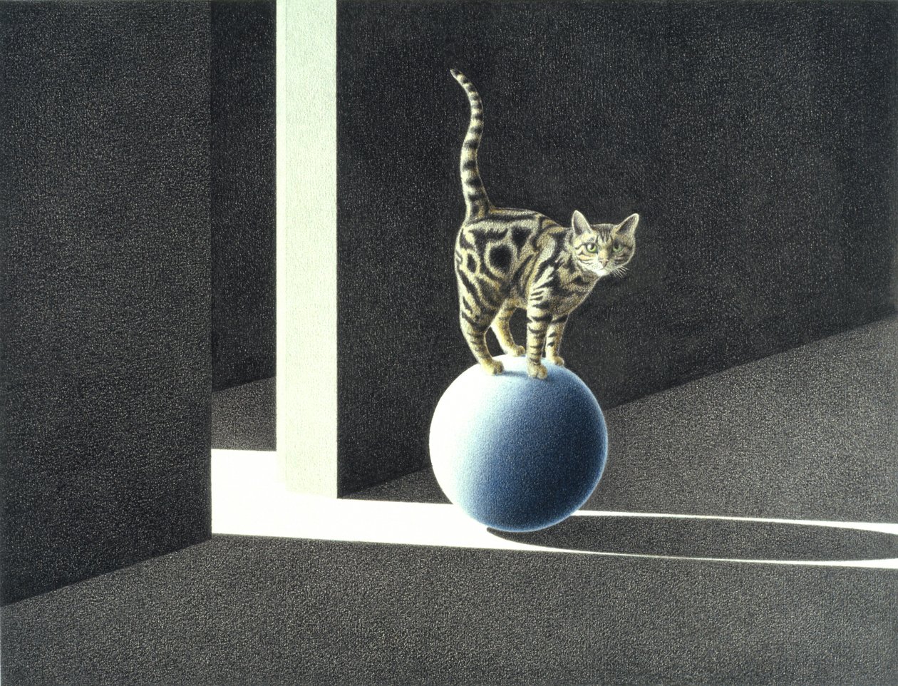 Blauwe bal door Rene Boin