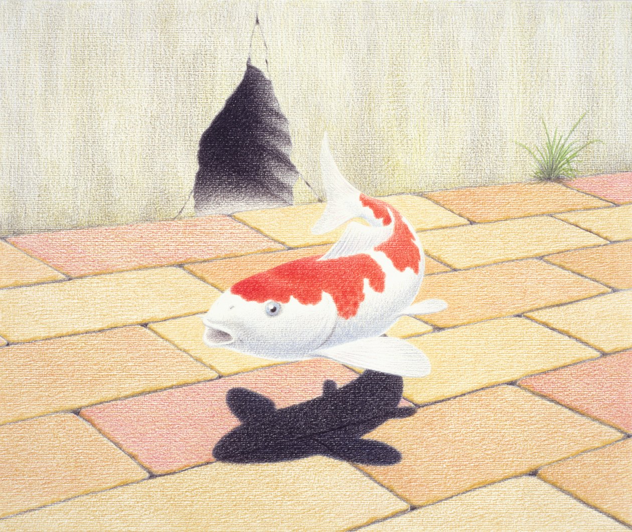 Koi door Rene Boin
