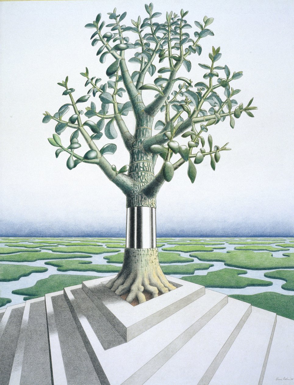 Vetplant door Rene Boin