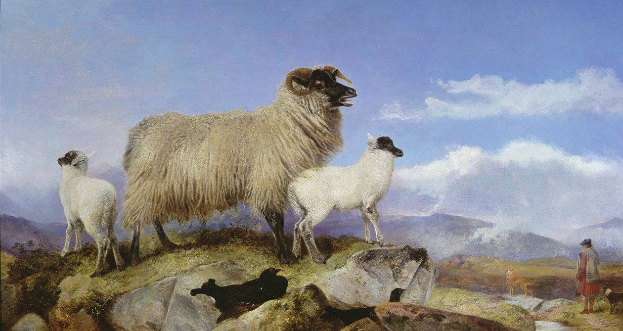 Ooi en Lammeren door Richard Ansdell