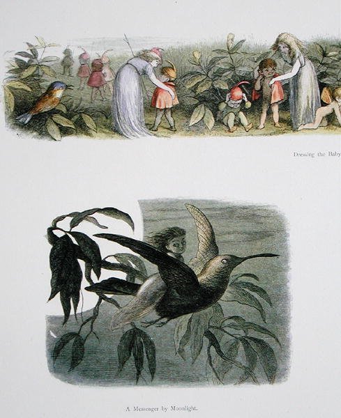 De Baby Elfjes Aankleden, en Een Boodschapper bij Maanlicht, illustraties uit In Fairyland: A Series of Pictures from the Elf-World door William Allingham en Andrew Lang door Richard Doyle