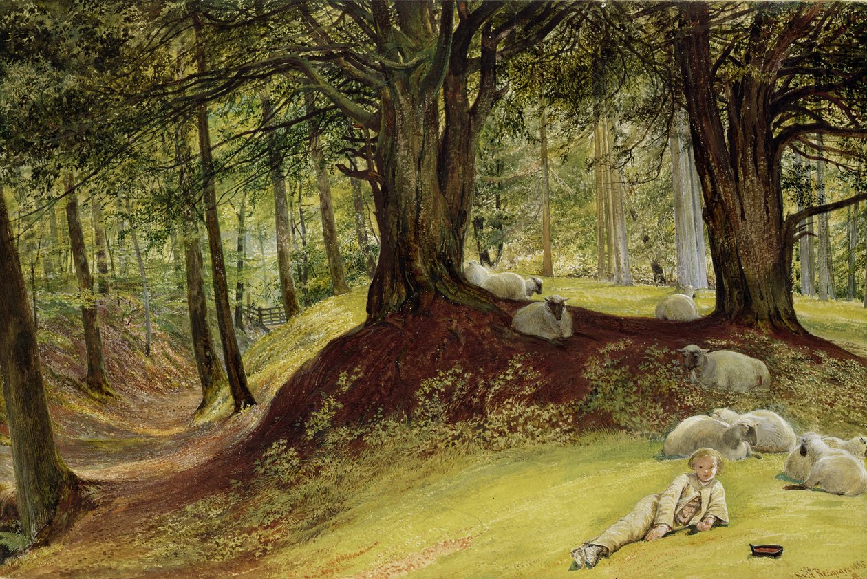 Parkhurst Woods, Abinger, Surrey door Richard Redgrave