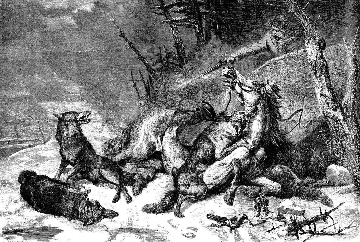 Reiziger te paard aangevallen door een roedel wolven door Richard Ansdell
