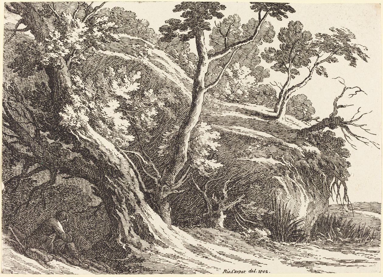 Landschap met grote bomen door Richard Cooper II