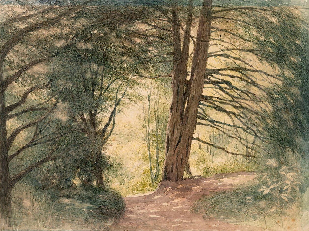 Box Hill, Surrey door Richard Doyle